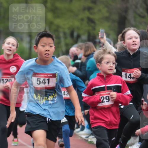 13.04.2025 - Hammer Lauf A. Gomolzig http://msf.ph/oto/7655604 13.04.2025 09:23:42 Ziel 531, 541, 629, 890, 952, 985, 1332, 1420, 1435, 1439, 1520, 1533, 1620, 1622, 1625, 1756, 1771, 1909 meine-sportfotos.de