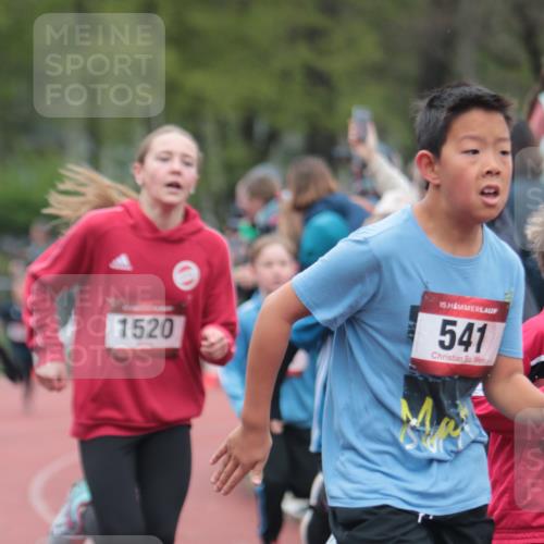 13.04.2025 - Hammer Lauf A. Gomolzig http://msf.ph/oto/7655606 13.04.2025 09:23:43 Ziel 531, 890, 952, 985, 1309, 1322, 1420, 1435, 1439, 1533, 1620, 1622, 1625, 1756, 1771, 1906, 1909 meine-sportfotos.de