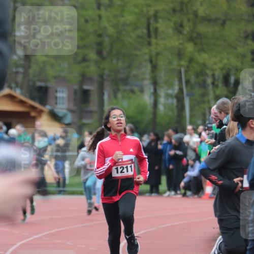 13.04.2025 - Hammer Lauf A. Gomolzig http://msf.ph/oto/7655640 13.04.2025 09:23:54 Ziel 359, 597, 636, 888, 944, 988, 1129, 1211, 1407, 1441, 1478, 1488, 1712, 1820 meine-sportfotos.de