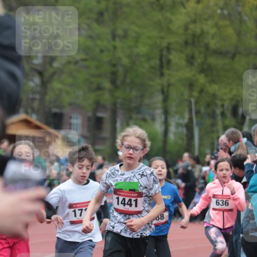 13.04.2025 - Hammer Lauf A. Gomolzig http://msf.ph/oto/7655665 13.04.2025 09:24:03 Ziel 597, 636, 774, 827, 869, 888, 1291, 1370, 1415, 1441, 1480, 1493, 1512, 1523, 1535, 1712, 1823, 1856 meine-sportfotos.de