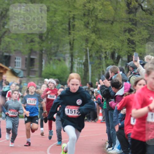 13.04.2025 - Hammer Lauf A. Gomolzig http://msf.ph/oto/7655689 13.04.2025 09:24:09 Ziel 358, 370, 811, 827, 869, 907, 1370, 1415, 1450, 1493, 1509, 1512, 1519, 1523, 1535, 1823, 1890 meine-sportfotos.de