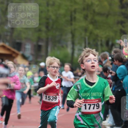 13.04.2025 - Hammer Lauf A. Gomolzig http://msf.ph/oto/7655732 13.04.2025 09:24:23 Ziel 734, 780, 785, 786, 787, 793, 799, 801, 825, 840, 870, 877, 913, 992, 1037, 1065, 1170, 1295, 1352, 1426, 1437, 1442, 1486, 1539, 1540, 1722, 1779 meine-sportfotos.de