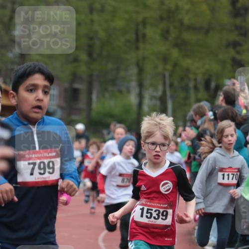 13.04.2025 - Hammer Lauf A. Gomolzig http://msf.ph/oto/7655733 13.04.2025 09:24:23 Ziel 734, 780, 785, 786, 787, 793, 799, 801, 825, 840, 870, 877, 913, 992, 1037, 1065, 1170, 1295, 1352, 1426, 1437, 1442, 1486, 1539, 1540, 1722, 1779 meine-sportfotos.de