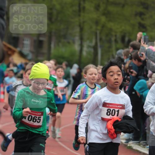 13.04.2025 - Hammer Lauf A. Gomolzig http://msf.ph/oto/7655752 13.04.2025 09:24:31 Ziel 362, 793, 825, 991, 992, 1036, 1065, 1116, 1413, 1431, 1437, 1442, 1452, 1470, 1621, 1623, 1722, 1886, 1905 meine-sportfotos.de