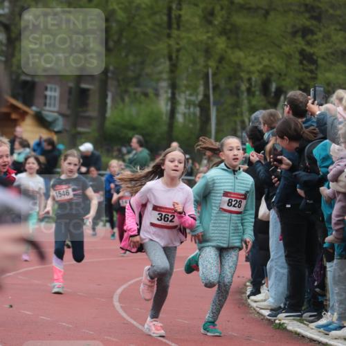 13.04.2025 - Hammer Lauf A. Gomolzig http://msf.ph/oto/7655771 13.04.2025 09:24:40 Ziel 362, 788, 796, 845, 881, 893, 930, 1292, 1316, 1401, 1413, 1432, 1445, 1453, 1546, 1550, 1754, 1773, 1834 meine-sportfotos.de