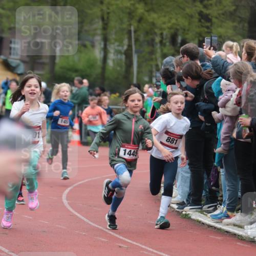 13.04.2025 - Hammer Lauf A. Gomolzig http://msf.ph/oto/7655776 13.04.2025 09:24:43 Ziel 788, 796, 845, 881, 893, 1186, 1292, 1311, 1316, 1401, 1432, 1445, 1453, 1506, 1524, 1546, 1550, 1754, 1773, 1834 meine-sportfotos.de