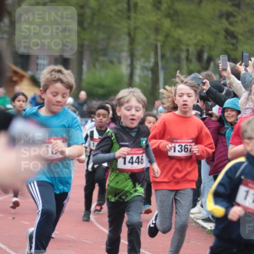 13.04.2025 - Hammer Lauf A. Gomolzig http://msf.ph/oto/7655803 13.04.2025 09:24:54 Ziel 403, 437, 612, 783, 814, 918, 1026, 1052, 1058, 1062, 1169, 1233, 1367, 1406, 1408, 1411, 1427, 1446, 1449, 1454, 1455, 1475, 1477, 1484, 1490, 1513, 1516, 1525, 1526, 1527, 1549, 1721, 1821, 1842 meine-sportfotos.de