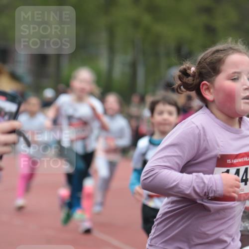 13.04.2025 - Hammer Lauf A. Gomolzig http://msf.ph/oto/7655819 13.04.2025 09:24:59 Ziel 437, 595, 775, 783, 1058, 1233, 1234, 1252, 1408, 1410, 1411, 1427, 1440, 1449, 1454, 1455, 1522, 1527, 1750, 1842 meine-sportfotos.de