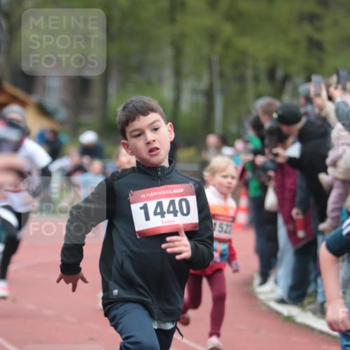 13.04.2025 - Hammer Lauf A. Gomolzig http://msf.ph/oto/7655831 13.04.2025 09:25:06 Ziel 478, 595, 696, 775, 808, 846, 919, 1234, 1252, 1410, 1440, 1444, 1451, 1522, 1626, 1750, 1873, 1914 meine-sportfotos.de
