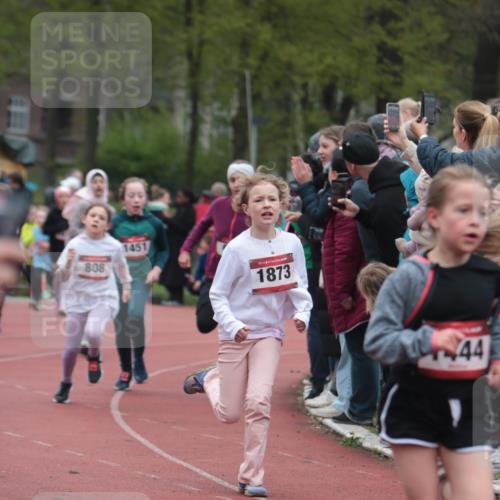 13.04.2025 - Hammer Lauf A. Gomolzig http://msf.ph/oto/7655844 13.04.2025 09:25:13 Ziel 478, 696, 716, 808, 878, 886, 919, 939, 1230, 1241, 1350, 1404, 1429, 1444, 1451, 1462, 1518, 1624, 1626, 1873, 1882 meine-sportfotos.de