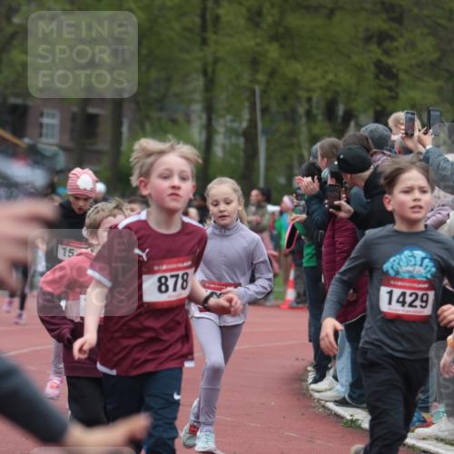 13.04.2025 - Hammer Lauf A. Gomolzig http://msf.ph/oto/7655856 13.04.2025 09:25:18 Ziel 716, 727, 857, 878, 886, 1130, 1210, 1230, 1241, 1350, 1404, 1429, 1434, 1447, 1462, 1518, 1624, 1854, 1882, 1885 meine-sportfotos.de