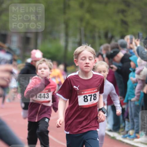 13.04.2025 - Hammer Lauf A. Gomolzig http://msf.ph/oto/7655858 13.04.2025 09:25:19 Ziel 716, 727, 857, 878, 886, 1130, 1210, 1230, 1241, 1350, 1429, 1434, 1447, 1462, 1518, 1624, 1854, 1869, 1882, 1885 meine-sportfotos.de