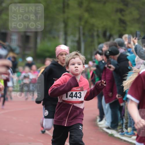 13.04.2025 - Hammer Lauf A. Gomolzig http://msf.ph/oto/7655860 13.04.2025 09:25:19 Ziel 716, 727, 857, 878, 886, 1130, 1210, 1230, 1241, 1350, 1429, 1434, 1447, 1462, 1518, 1624, 1854, 1869, 1882, 1885 meine-sportfotos.de