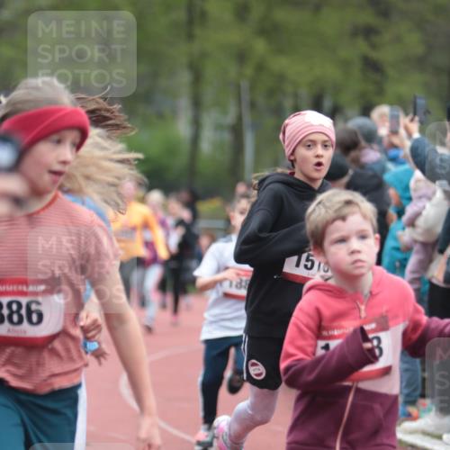 13.04.2025 - Hammer Lauf A. Gomolzig http://msf.ph/oto/7655861 13.04.2025 09:25:20 Ziel 716, 727, 800, 857, 867, 878, 1085, 1130, 1210, 1230, 1241, 1350, 1429, 1434, 1447, 1462, 1518, 1624, 1854, 1869, 1882, 1885 meine-sportfotos.de