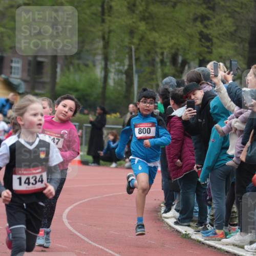 13.04.2025 - Hammer Lauf A. Gomolzig http://msf.ph/oto/7655874 13.04.2025 09:25:26 Ziel 727, 797, 800, 813, 867, 1075, 1085, 1130, 1361, 1434, 1447, 1504, 1515, 1616, 1701, 1854, 1869, 1872 meine-sportfotos.de