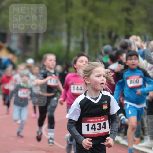 13.04.2025 - Hammer Lauf A. Gomolzig http://msf.ph/oto/7655876 13.04.2025 09:25:26 Ziel 727, 797, 800, 813, 867, 1075, 1085, 1130, 1361, 1434, 1447, 1504, 1515, 1616, 1701, 1854, 1869, 1872 meine-sportfotos.de