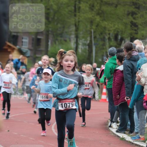 13.04.2025 - Hammer Lauf A. Gomolzig http://msf.ph/oto/7655889 13.04.2025 09:25:32 Ziel 542, 682, 691, 795, 797, 798, 813, 864, 963, 973, 989, 1075, 1359, 1361, 1428, 1461, 1504, 1515, 1615, 1616, 1701, 1872 meine-sportfotos.de