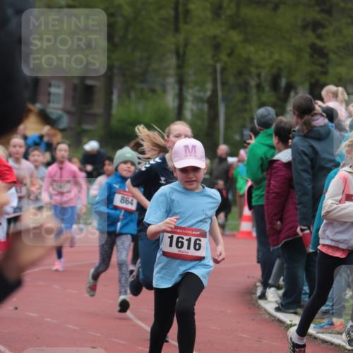 13.04.2025 - Hammer Lauf A. Gomolzig http://msf.ph/oto/7655891 13.04.2025 09:25:34 Ziel 542, 682, 691, 795, 797, 798, 813, 864, 963, 973, 989, 1359, 1361, 1428, 1461, 1615, 1616, 1701 meine-sportfotos.de