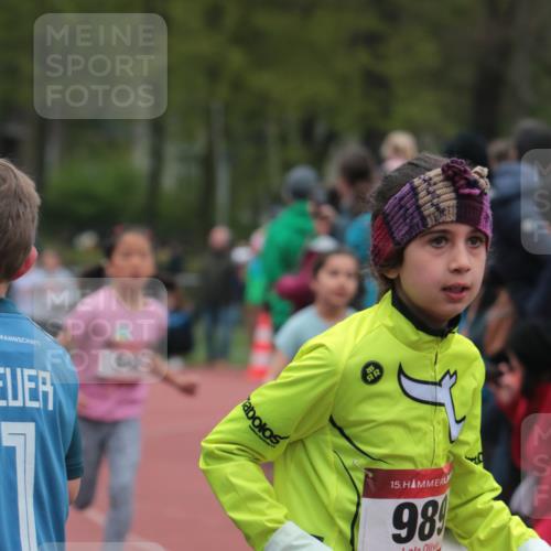 13.04.2025 - Hammer Lauf A. Gomolzig http://msf.ph/oto/7655909 13.04.2025 09:25:40 Ziel 542, 657, 777, 795, 816, 820, 866, 973, 1141, 1172, 1419, 1421, 1428, 1536, 1918 meine-sportfotos.de