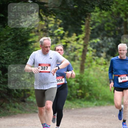 13.04.2025 - Hammer Lauf Dr. Thomas Lammeyer http://msf.ph/oto/7655917 13.04.2025 10:37:57 Laufen 387, 904, 646 meine-sportfotos.de