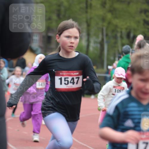 13.04.2025 - Hammer Lauf A. Gomolzig http://msf.ph/oto/7655944 13.04.2025 09:25:51 Ziel 402, 640, 803, 809, 901, 941, 1126, 1315, 1425, 1474, 1547, 1811 meine-sportfotos.de