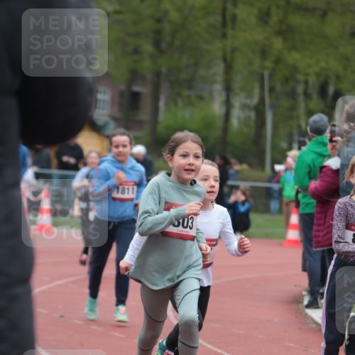 13.04.2025 - Hammer Lauf A. Gomolzig http://msf.ph/oto/7655955 13.04.2025 09:25:54 Ziel 402, 640, 803, 809, 901, 921, 1240, 1315, 1414, 1423, 1811 meine-sportfotos.de