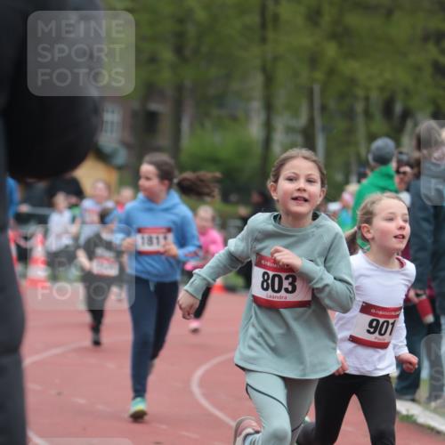 13.04.2025 - Hammer Lauf A. Gomolzig http://msf.ph/oto/7655957 13.04.2025 09:25:55 Ziel 640, 803, 805, 809, 921, 1240, 1250, 1315, 1414, 1423, 1811 meine-sportfotos.de