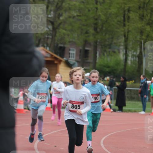 13.04.2025 - Hammer Lauf A. Gomolzig http://msf.ph/oto/7655973 13.04.2025 09:26:03 Ziel 805, 836, 848, 854, 865, 921, 942, 964, 1240, 1250, 1414, 1448, 1456, 1710 meine-sportfotos.de
