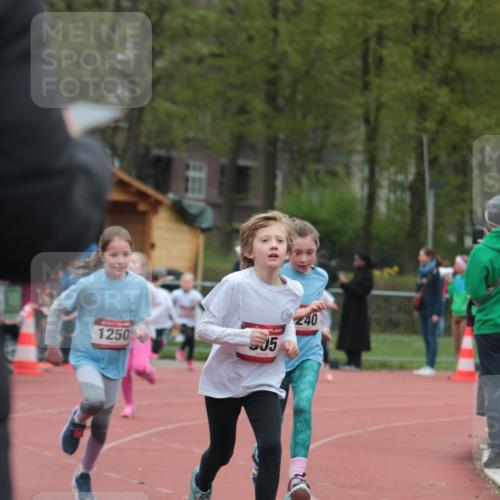 13.04.2025 - Hammer Lauf A. Gomolzig http://msf.ph/oto/7655975 13.04.2025 09:26:03 Ziel 805, 836, 848, 854, 865, 921, 942, 964, 1240, 1250, 1414, 1448, 1456, 1710 meine-sportfotos.de