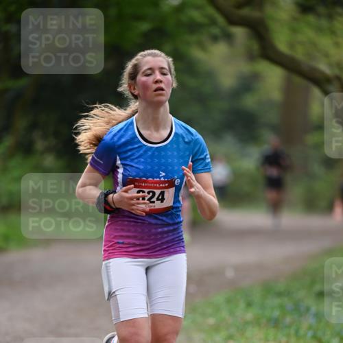 13.04.2025 - Hammer Lauf Dr. Thomas Lammeyer http://msf.ph/oto/7655985 13.04.2025 10:38:06 Laufen 15, 24 meine-sportfotos.de