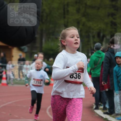 13.04.2025 - Hammer Lauf A. Gomolzig http://msf.ph/oto/7655988 13.04.2025 09:26:08 Ziel 836, 854, 865, 934, 942, 1320, 1448, 1456, 1710 meine-sportfotos.de