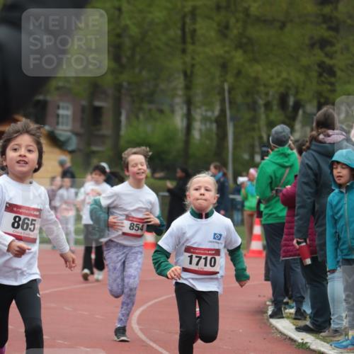 13.04.2025 - Hammer Lauf A. Gomolzig http://msf.ph/oto/7655989 13.04.2025 09:26:09 Ziel 836, 854, 865, 934, 942, 1320, 1448, 1456, 1710 meine-sportfotos.de