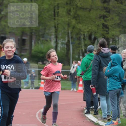 13.04.2025 - Hammer Lauf A. Gomolzig http://msf.ph/oto/7656042 13.04.2025 09:26:37 Ziel 584, 778, 852, 1321, 1473 meine-sportfotos.de