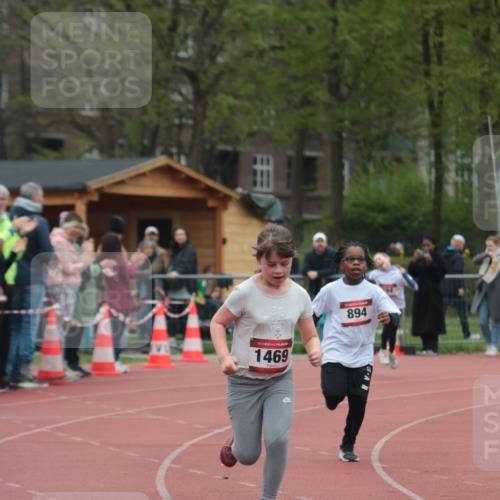 13.04.2025 - Hammer Lauf A. Gomolzig http://msf.ph/oto/7656059 13.04.2025 09:26:52 Ziel 794, 894, 1469 meine-sportfotos.de