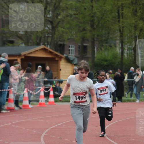 13.04.2025 - Hammer Lauf A. Gomolzig http://msf.ph/oto/7656060 13.04.2025 09:26:52 Ziel 794, 894, 1469 meine-sportfotos.de
