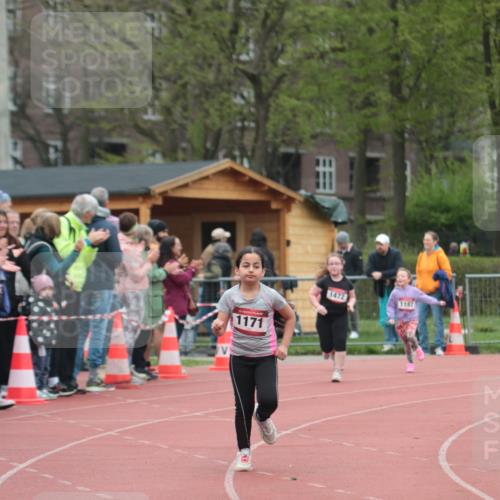 13.04.2025 - Hammer Lauf A. Gomolzig http://msf.ph/oto/7656082 13.04.2025 09:27:09 Ziel 1171, 1472, 1762 meine-sportfotos.de