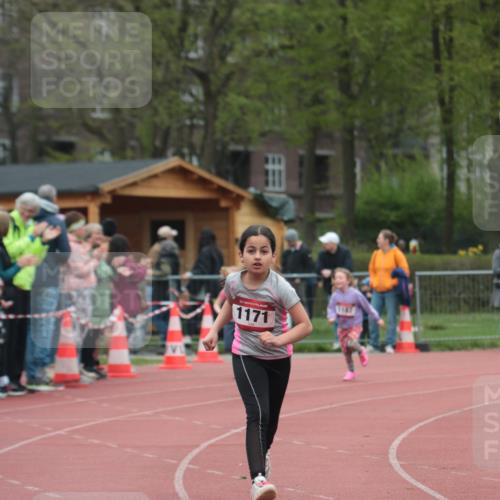13.04.2025 - Hammer Lauf A. Gomolzig http://msf.ph/oto/7656086 13.04.2025 09:27:10 Ziel 1171, 1187, 1472, 1762 meine-sportfotos.de