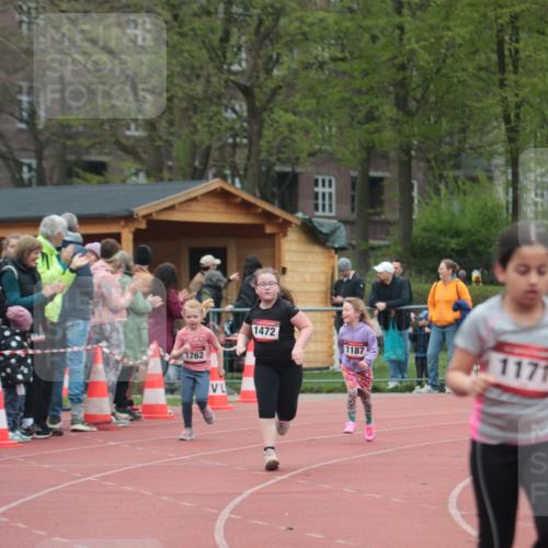 13.04.2025 - Hammer Lauf A. Gomolzig http://msf.ph/oto/7656089 13.04.2025 09:27:11 Ziel 1171, 1187, 1472, 1762 meine-sportfotos.de