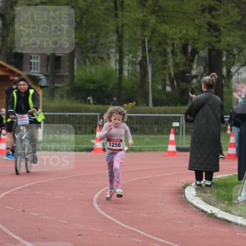 13.04.2025 - Hammer Lauf A. Gomolzig http://msf.ph/oto/7656234 13.04.2025 09:28:39 Ziel 392 meine-sportfotos.de