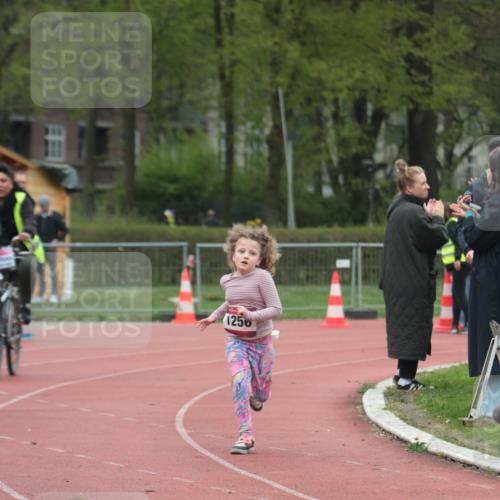 13.04.2025 - Hammer Lauf A. Gomolzig http://msf.ph/oto/7656241 13.04.2025 09:28:40 Ziel 392 meine-sportfotos.de