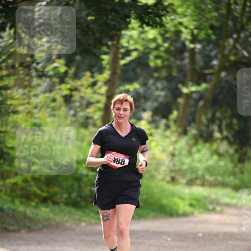 13.04.2025 - Hammer Lauf Dr. Thomas Lammeyer http://msf.ph/oto/7656524 13.04.2025 10:40:09 Laufen 988 meine-sportfotos.de