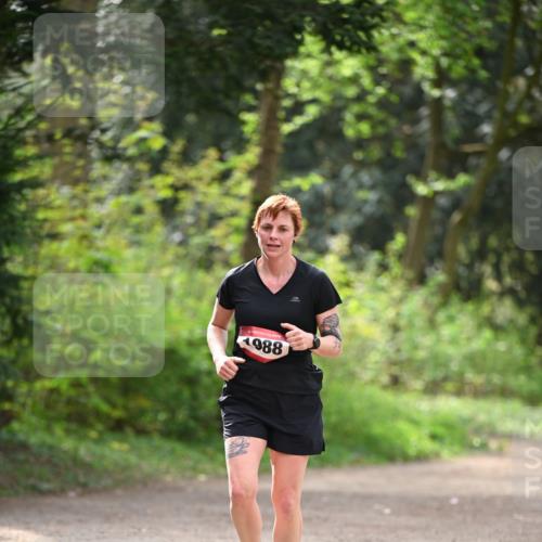 13.04.2025 - Hammer Lauf Dr. Thomas Lammeyer http://msf.ph/oto/7656526 13.04.2025 10:40:09 Laufen 1988 meine-sportfotos.de