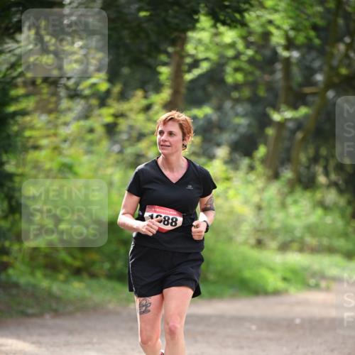 13.04.2025 - Hammer Lauf Dr. Thomas Lammeyer http://msf.ph/oto/7656534 13.04.2025 10:40:10 Laufen 15, 288 meine-sportfotos.de