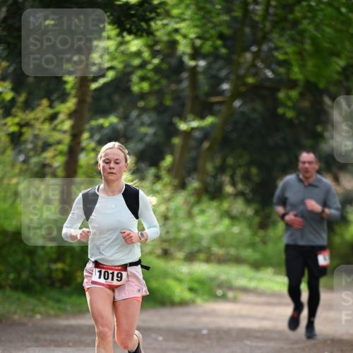 13.04.2025 - Hammer Lauf Dr. Thomas Lammeyer http://msf.ph/oto/7656570 13.04.2025 10:40:22 Laufen 1019 meine-sportfotos.de