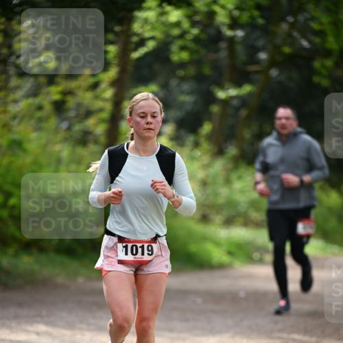 13.04.2025 - Hammer Lauf Dr. Thomas Lammeyer http://msf.ph/oto/7656585 13.04.2025 10:40:23 Laufen 1019 meine-sportfotos.de