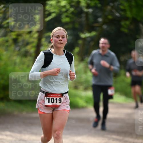 13.04.2025 - Hammer Lauf Dr. Thomas Lammeyer http://msf.ph/oto/7656592 13.04.2025 10:40:24 Laufen 15, 1019 meine-sportfotos.de