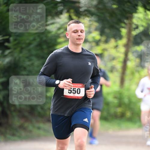 13.04.2025 - Hammer Lauf Dr. Thomas Lammeyer http://msf.ph/oto/7656852 13.04.2025 10:41:02 Laufen 550 meine-sportfotos.de