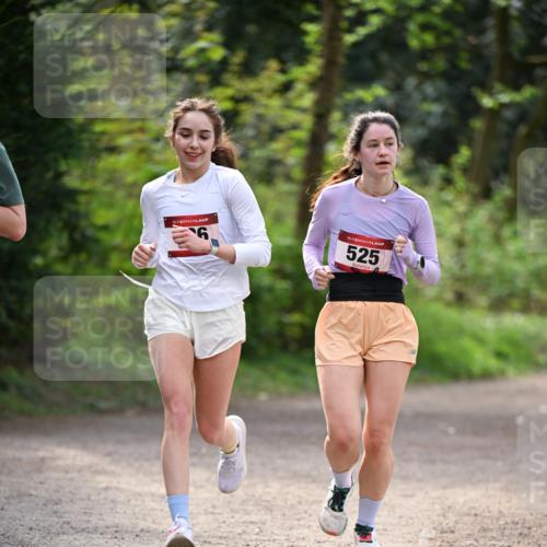 13.04.2025 - Hammer Lauf Dr. Thomas Lammeyer http://msf.ph/oto/7656867 13.04.2025 10:41:05 Laufen 15, 15, 525 meine-sportfotos.de