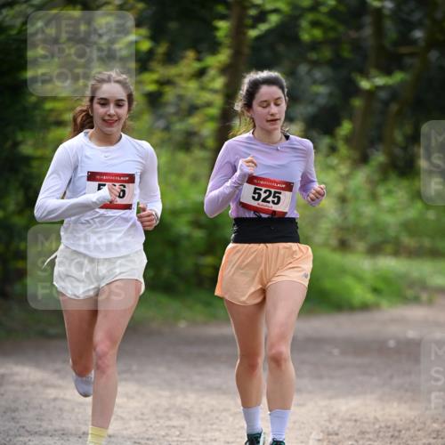 13.04.2025 - Hammer Lauf Dr. Thomas Lammeyer http://msf.ph/oto/7656871 13.04.2025 10:41:05 Laufen 15, 15, 525 meine-sportfotos.de
