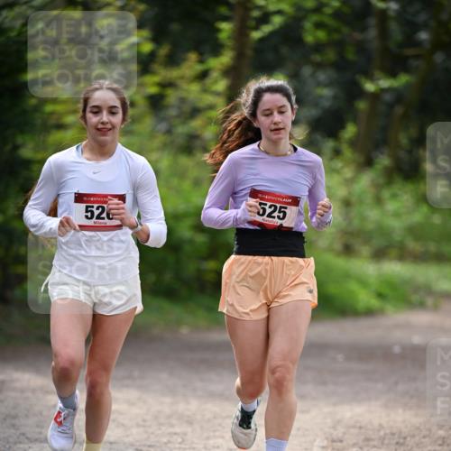 13.04.2025 - Hammer Lauf Dr. Thomas Lammeyer http://msf.ph/oto/7656872 13.04.2025 10:41:05 Laufen 15, 52, 15, 525 meine-sportfotos.de